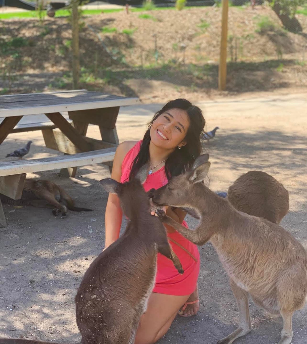 Estudia un semestre en Australia y elige entre cientos de cursos en universidades australianas