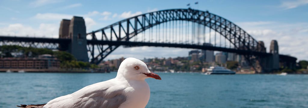 Australia país con mayor reputación en el mundo
