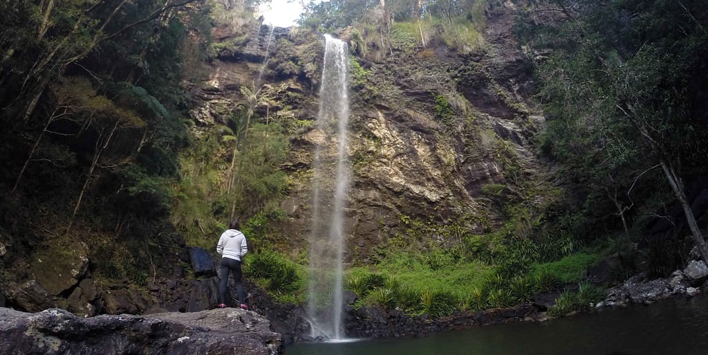 Springbrook National Park Australia