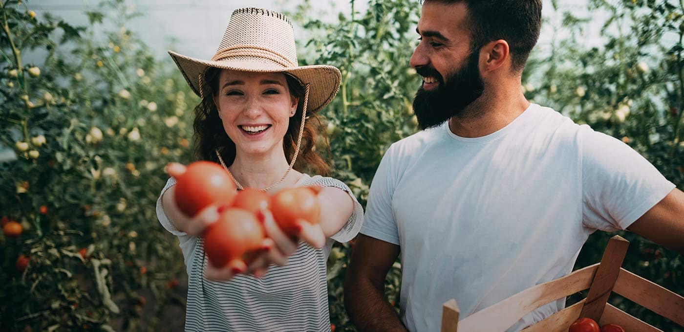 Trabajos en granja - work and holiday