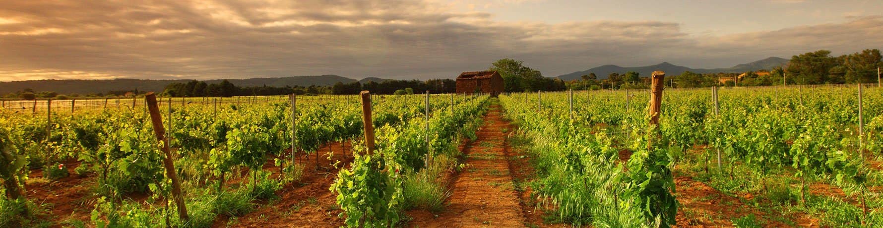 Trabajar en Granja Australia