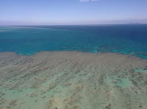 Gran Barrera de Coral Australia