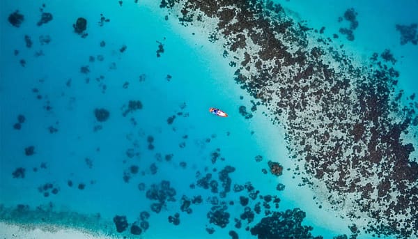 Curso en ciencias naturales y biología marina