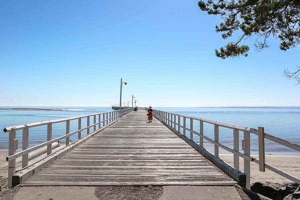 Ballenas en playas australianas