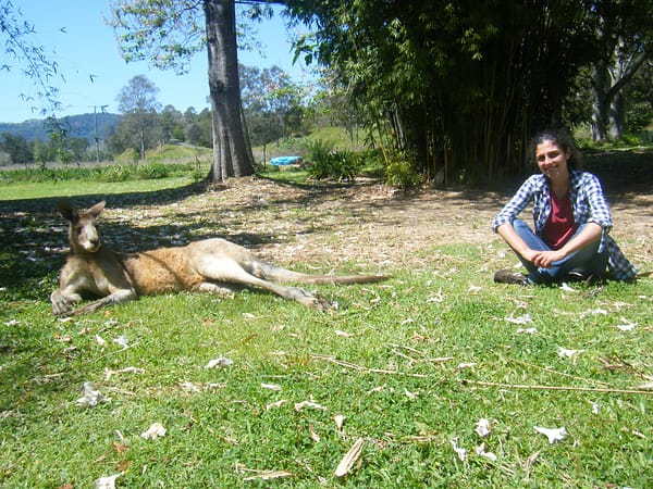 asesor español brisbane