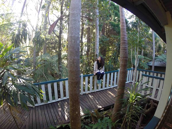 Springbrook National Park Australia