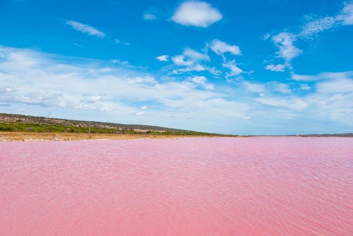 Strange colored Water at Pink Lake, Western Australia
