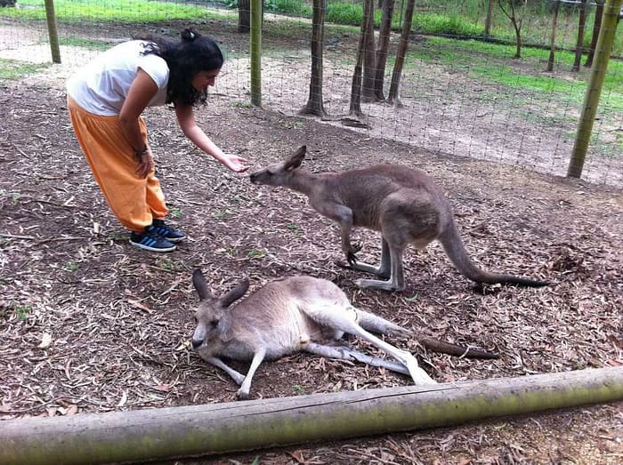 Go Study Australia Sydney