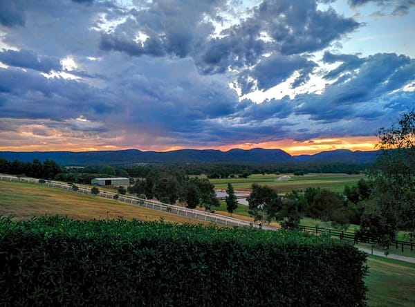 Cristian: l’amore per gli animali mi ha portato in Australia