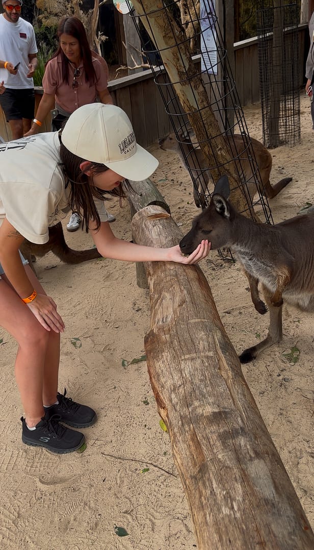 Rakele dà da mangiare a un canguro in Australia – Momento speciale per Rakele che dà da mangiare a un canguro durante la sua esperienza di studio in Australia.