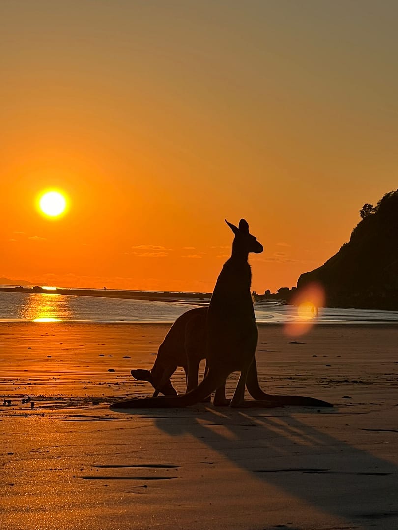 Costi erasmus in Australia