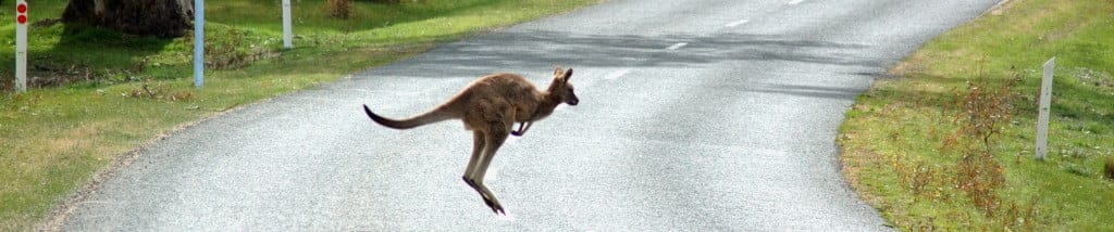 Rêver l'Australie: c'est safe