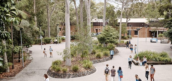 University of Newcastle