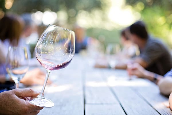 Bachelor of Wine Business : carrière dans l’industrie du vin
