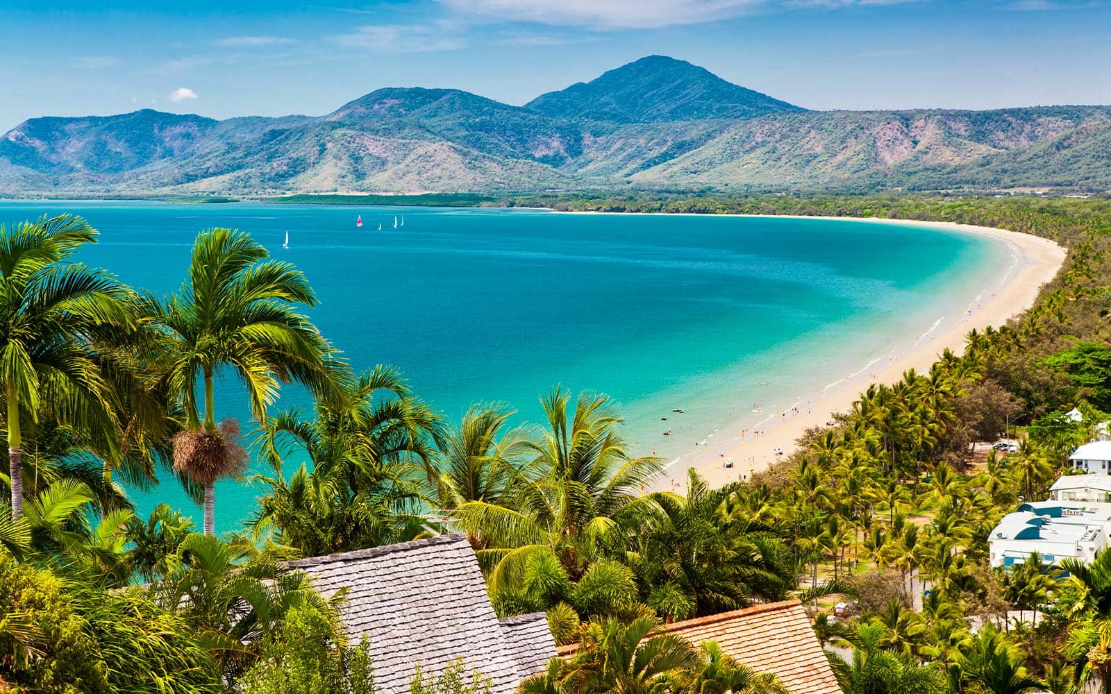 plage avec des montagnes derrière et des palmiers
