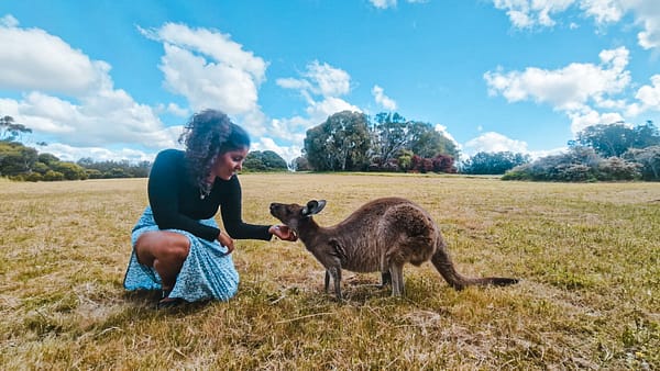 Webinar: De México y Chile a Sydney