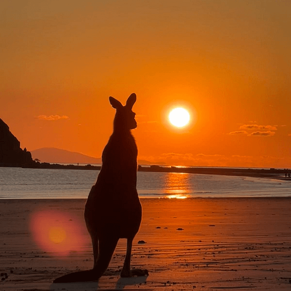 Webinar | Étudier l’anglais en Australie