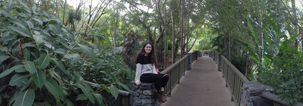 Jardin Botánico en Brisbane