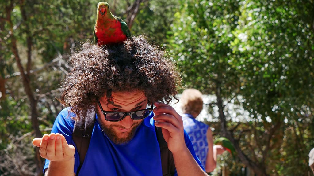 Francesco fa amicizia con un pappagallo - Positivitrip