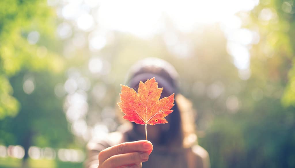 Automne, jeune homme qui tient une feuille rouge