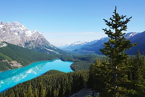 Sara: il Canada è stata l’esperienza più bella della mia vita