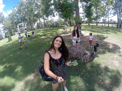 DCIM100GOPRO