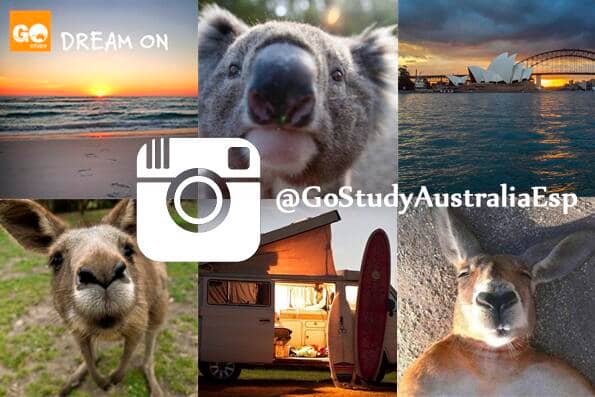 instagram australia