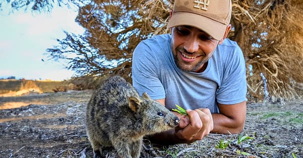Estudia un semestre en una universidad australiana
