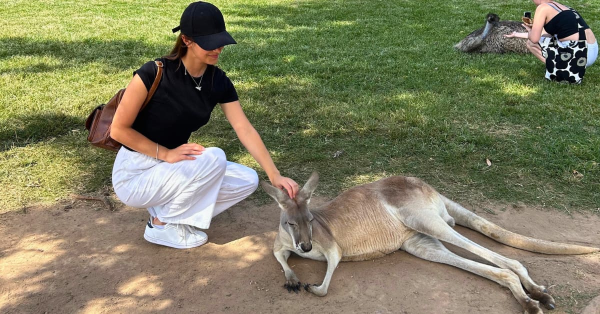 Estudiantes-en-Australia-con-canguros