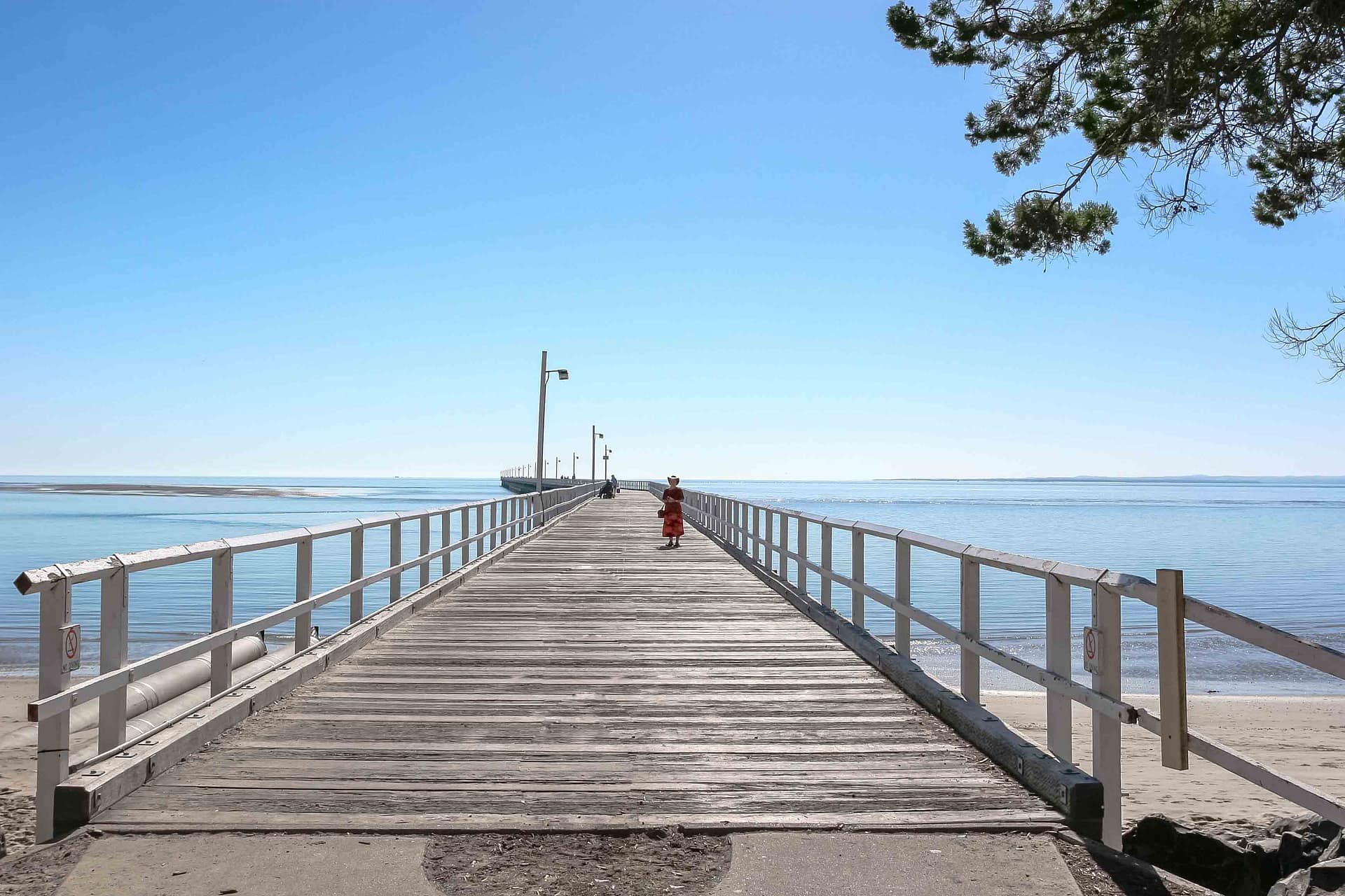 Ballenas en playas australianas