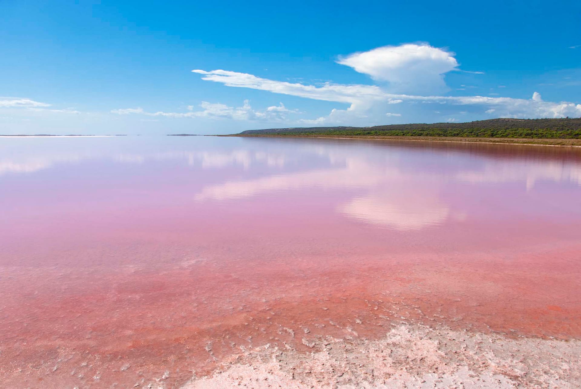 El misterioso agua rosa del Lago Hillier en Australia - Go Study Australia