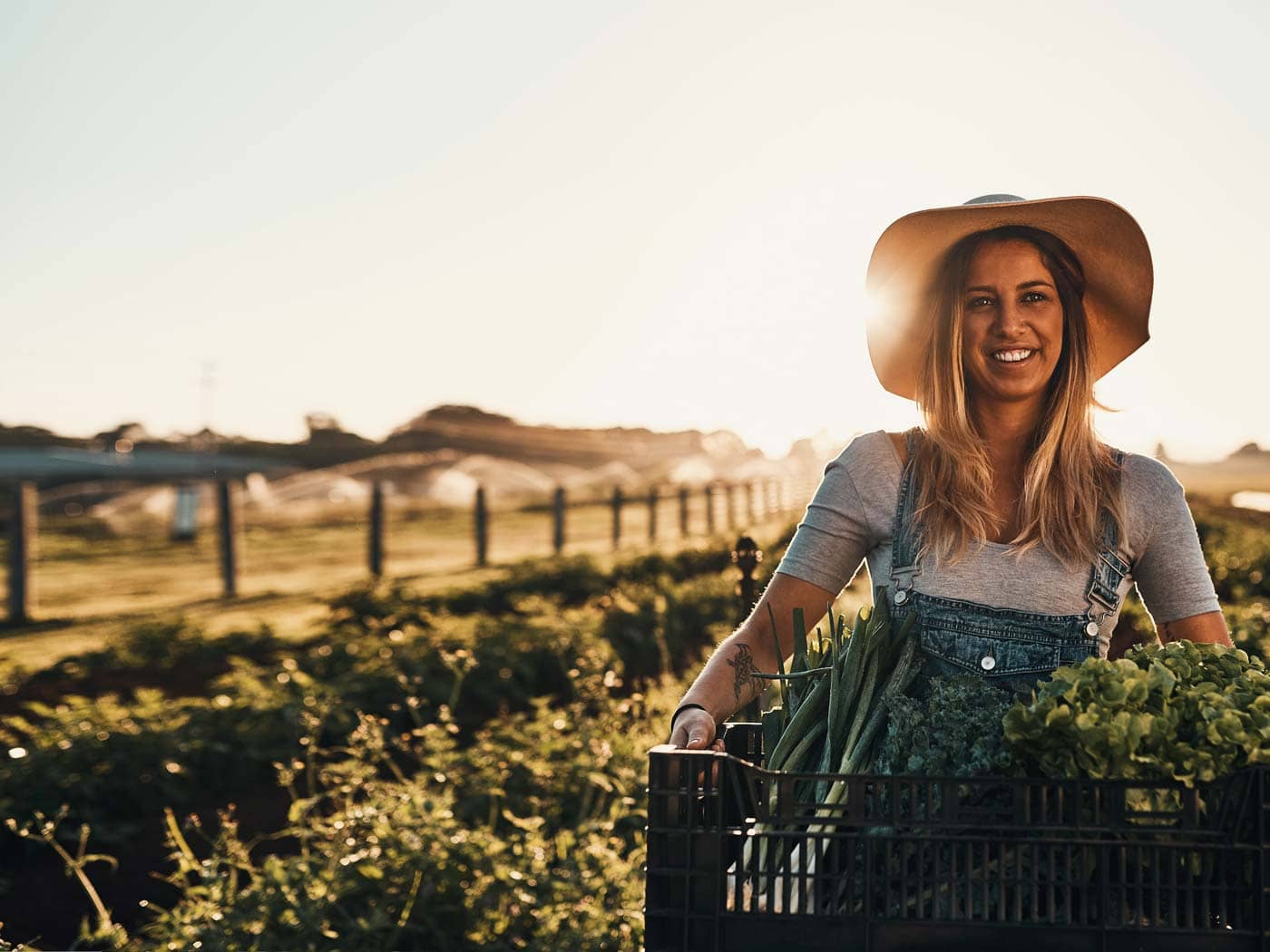 farm work, trabajo granja australia