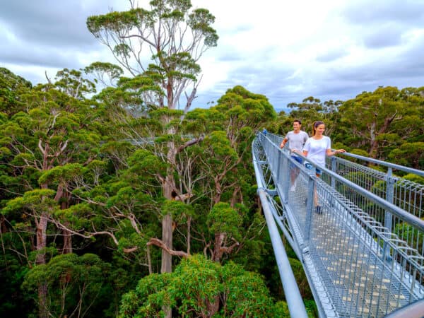 TAFE International Western Australia (TIWA)
