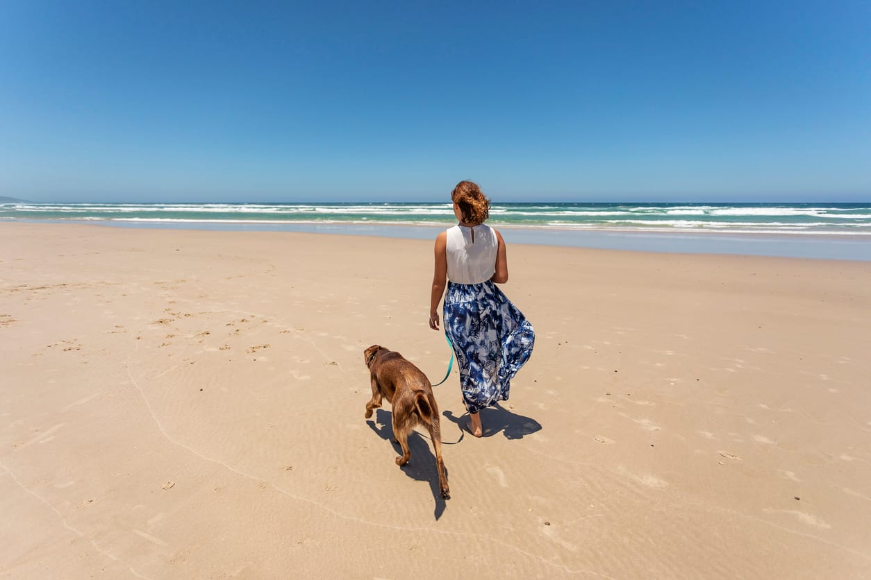 portare cane in australia