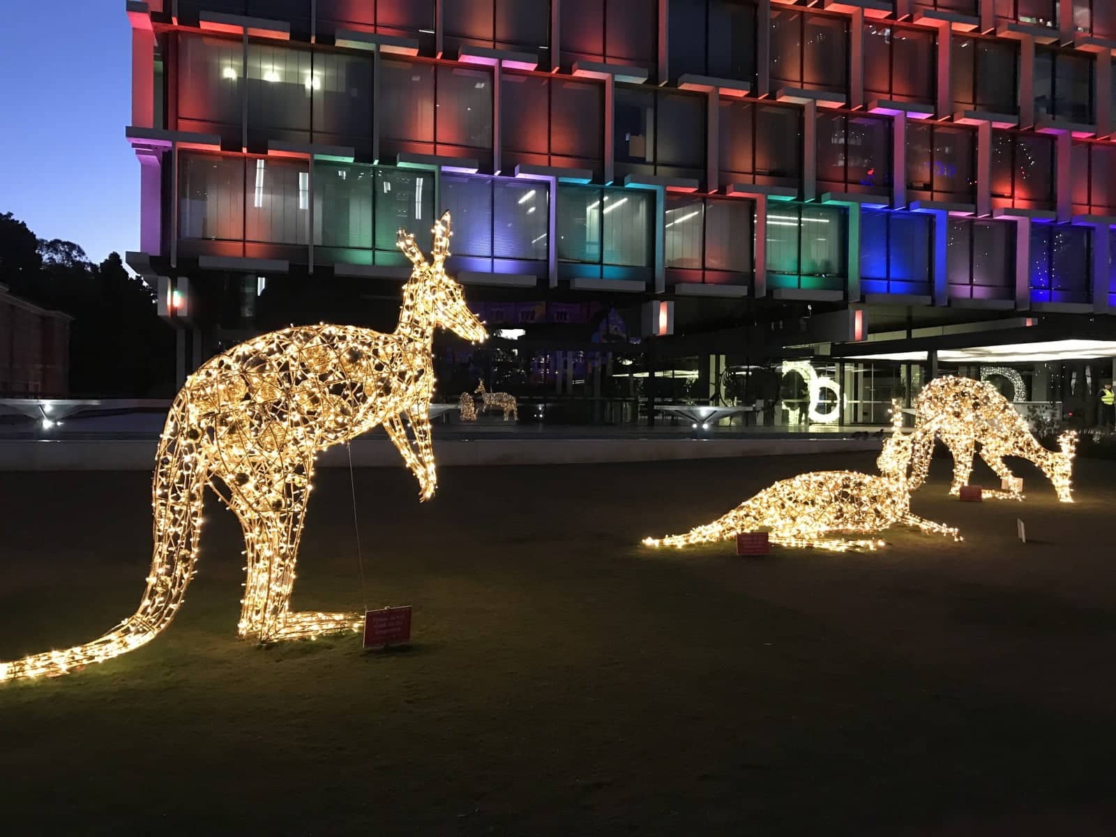 lumières en forme de kangourous