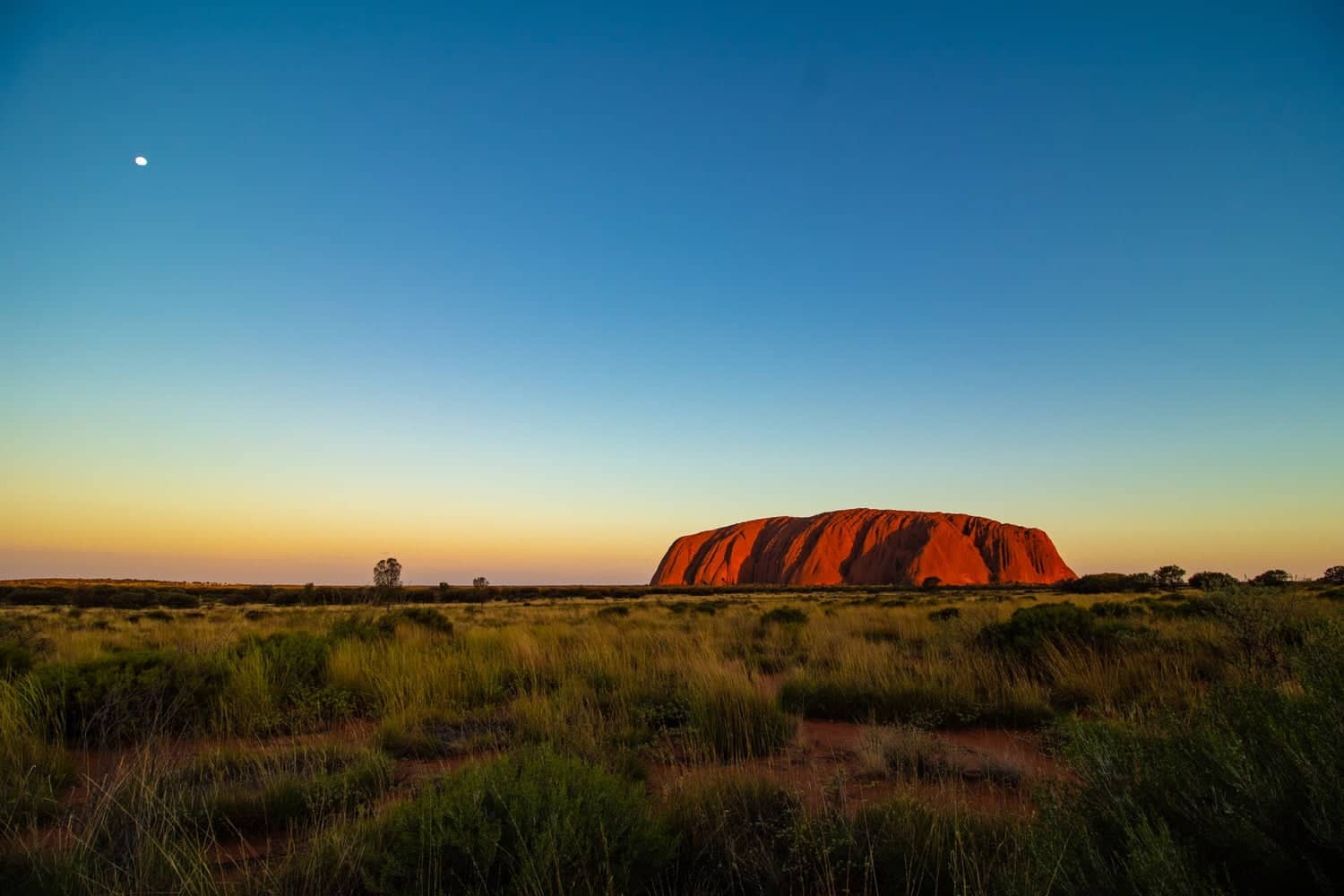 Uluru tramonto