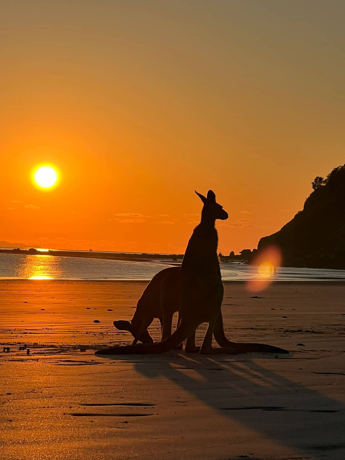 Erasmus in Australia Costs