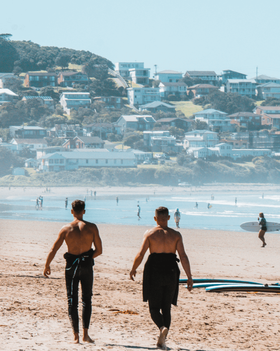 Types of Bachelor’s Degrees in Australia: Arts, Science, Business, Engineering, IT, Health