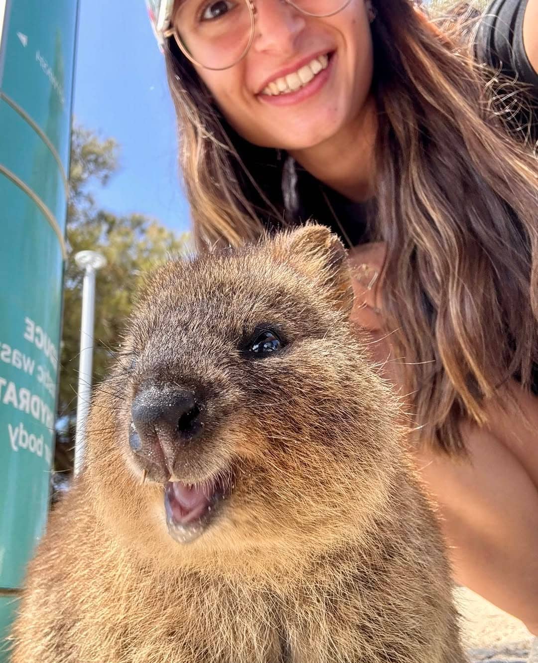 Erasmus in Australia entry requirements and how it works